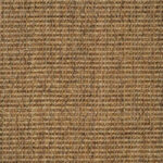 Albero_Rug/Carpet
