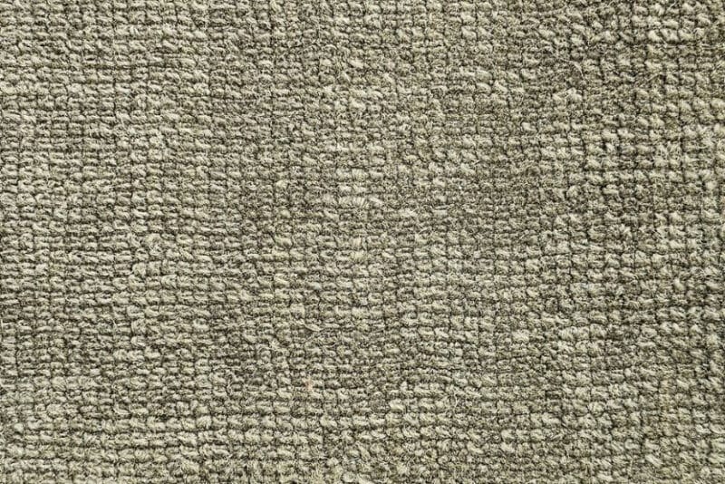 Miro_Olive